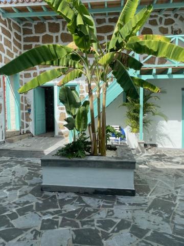 Hacienda De Las Indias, Cali Гранадиля де Абона Екстериор снимка